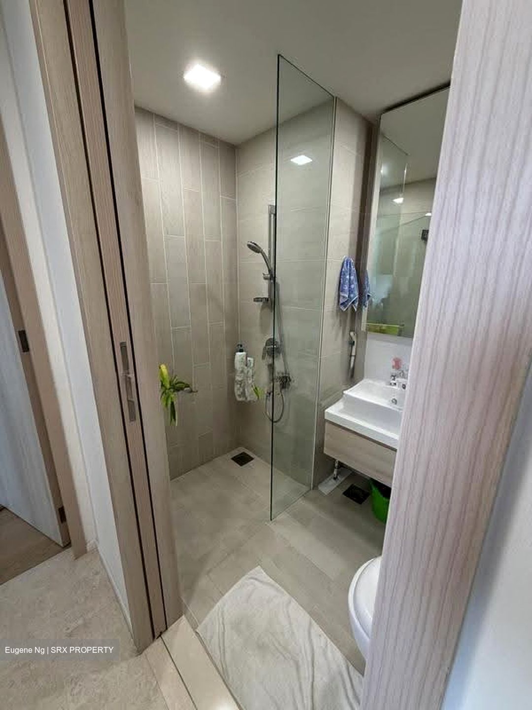The Panorama (D20), Condominium #619406671